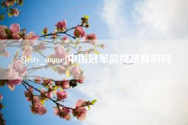 大同中国冠军品牌是真的吗