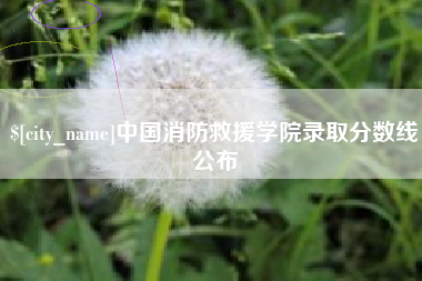 大同中国消防救援学院录取分数线公布