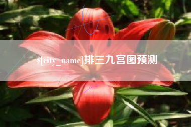 大同排三九宫图预测