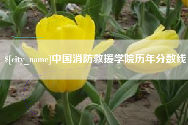 大同中国消防救援学院历年分数线