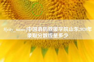 大同中国消防救援学院山东2020年录取分数线是多少