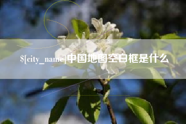 大同中国地图空白框是什么