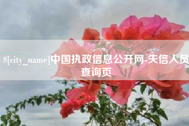 大同中国执政信息公开网-失信人员查询页