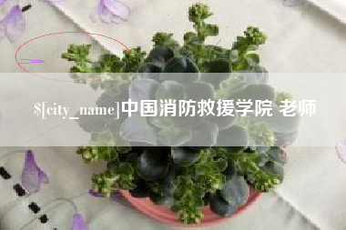大同中国消防救援学院 老师