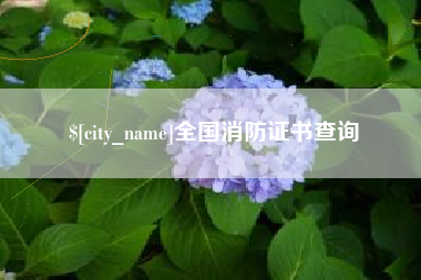 大同全国消防证书查询