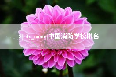 大同中国消防学校排名