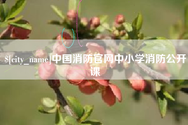 大同中国消防官网中小学消防公开课