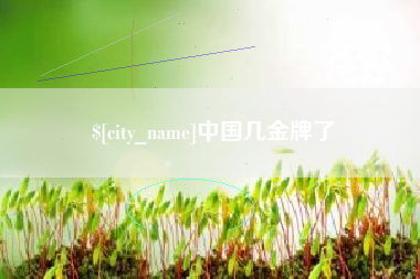 大同中国几金牌了