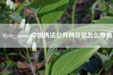 大同中国执法公开网征信怎么查询