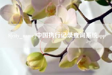 大同中国执行记录查询系统app