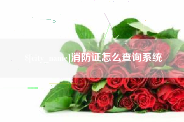 大同消防证怎么查询系统