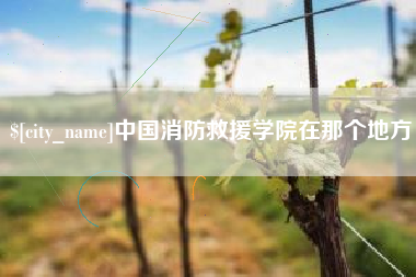 大同中国消防救援学院在那个地方