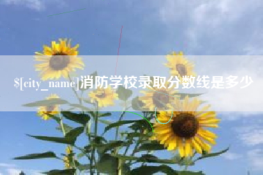 大同消防学校录取分数线是多少
