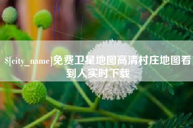 大同免费卫星地图高清村庄地图看到人实时下载