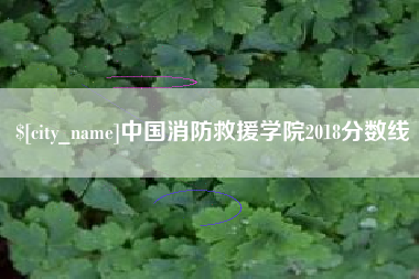 大同中国消防救援学院2018分数线