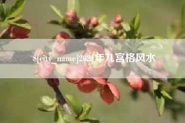 大同2021年九宫格风水