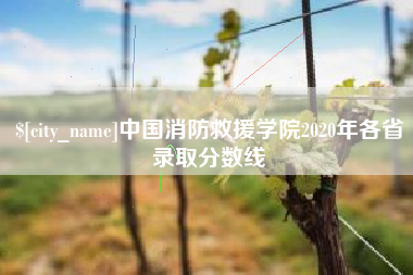 大同中国消防救援学院2020年各省录取分数线
