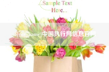 大同中国执行网信息官网