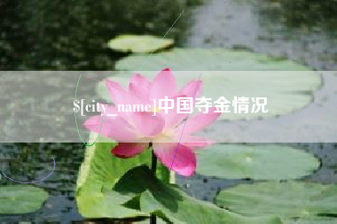 大同中国夺金情况