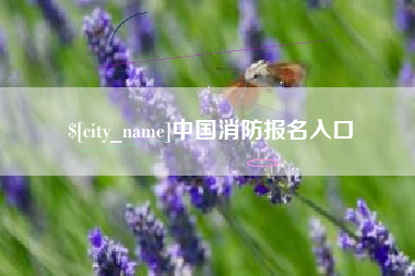 大同中国消防报名入口