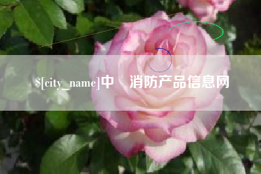 大同中囯消防产品信息网