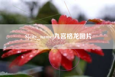 大同九宫格龙图片
