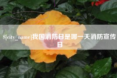 大同我国消防日是哪一天消防宣传日