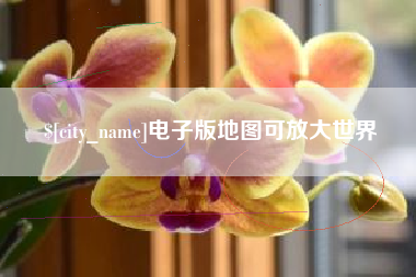 大同电子版地图可放大世界