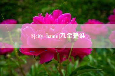 大同九金是谁
