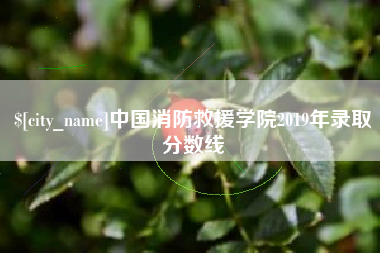 大同中国消防救援学院2019年录取分数线
