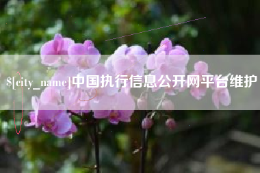 大同中国执行信息公开网平台维护