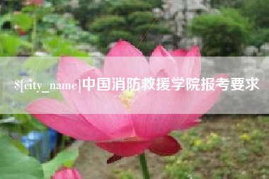 大同中国消防救援学院报考要求