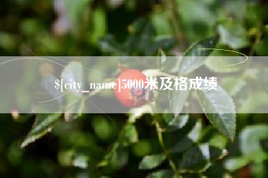 大同5000米及格成绩