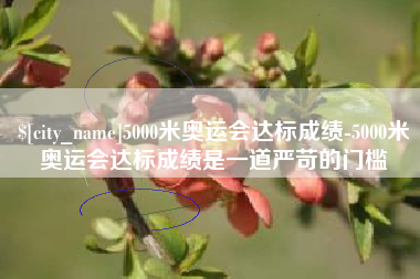 大同5000米奥运会达标成绩-5000米奥运会达标成绩是一道严苛的门槛
