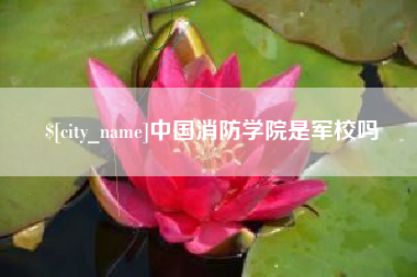大同中国消防学院是军校吗