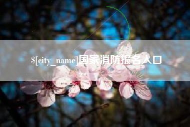 大同国家消防报名入口