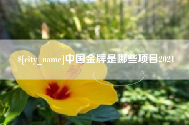大同中国金牌是哪些项目2021