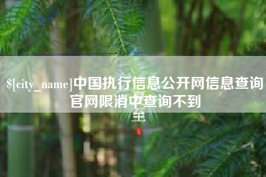 大同中国执行信息公开网信息查询官网限消中查询不到