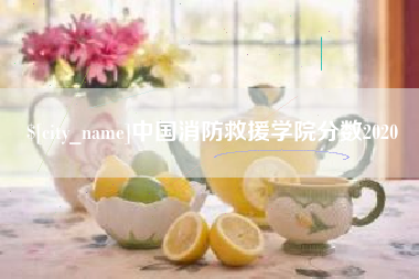 大同中国消防救援学院分数2020