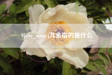 大同九金指的是什么