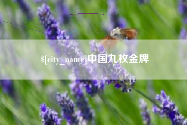 大同中国九枚金牌