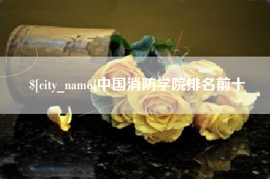 大同中国消防学院排名前十