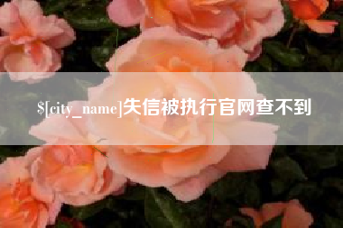 大同失信被执行官网查不到