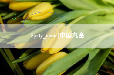 大同中国九金