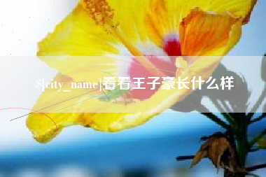 大同看看王子豪长什么样