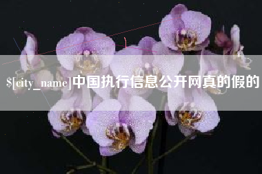 大同中国执行信息公开网真的假的