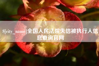 大同全国人民法院失信被执行人信息查询官网