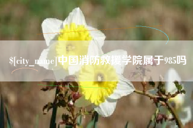 大同中国消防救援学院属于985吗