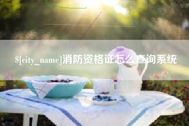 大同消防资格证怎么查询系统