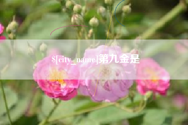 大同第九金是